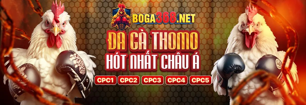 Chương Trình VIP Độc Quyền Benbet Casino